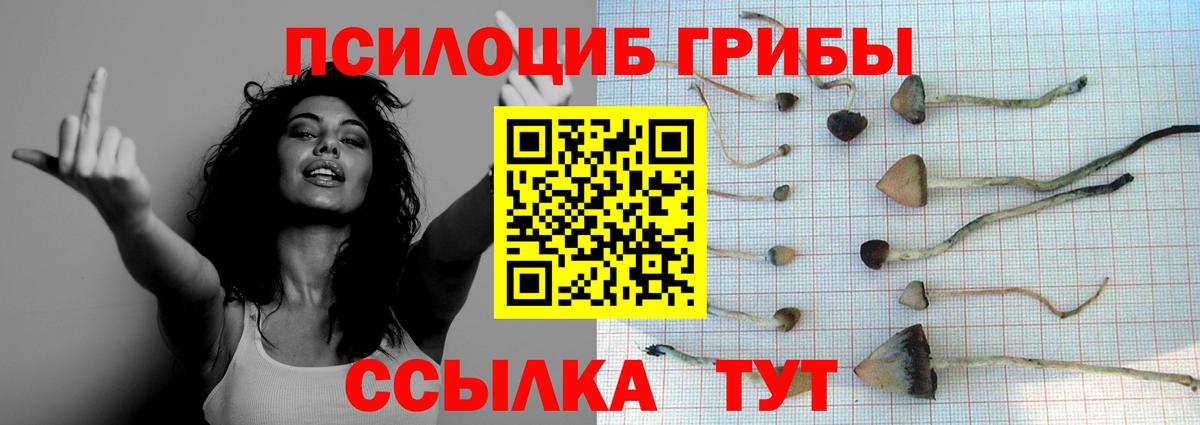 Псилоцибиновые грибы GOLDEN TEACHER Новый Уренгой