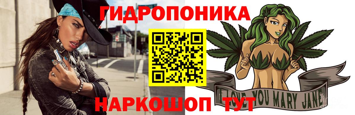 Шишки марихуана OG Kush Новый Уренгой